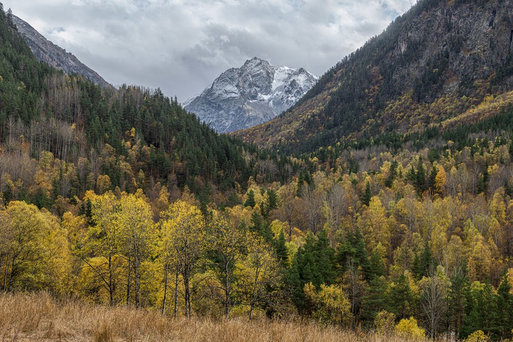 Photograph by Anatoly