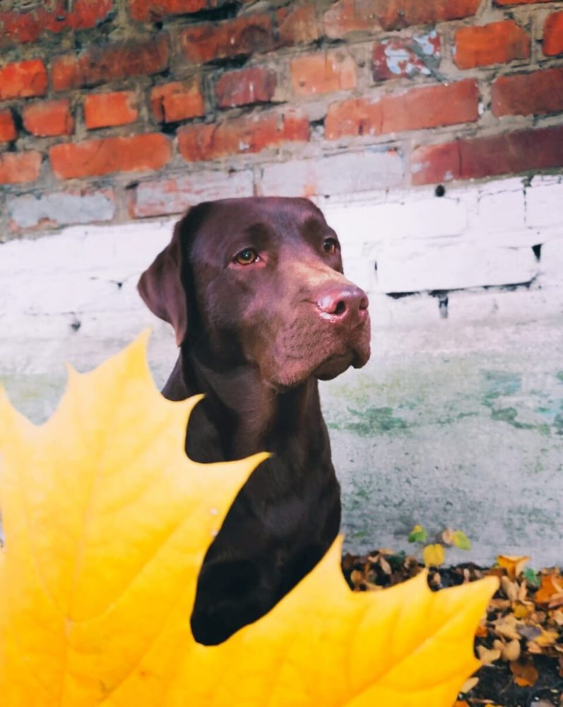 Photograph by Сергей Аборин