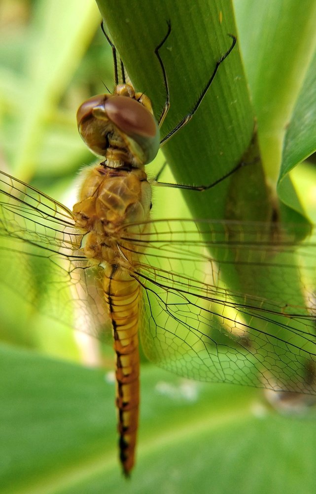 Photograph by Shubham Singh