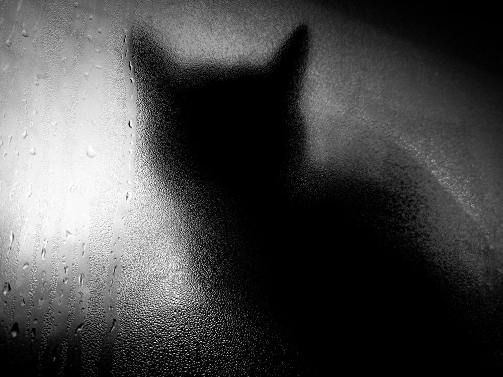 Photograph by Влад Имиров