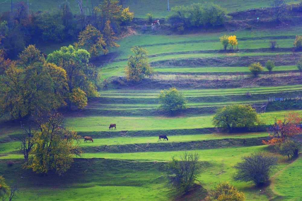 Photograph by Metehan Büyükkaya