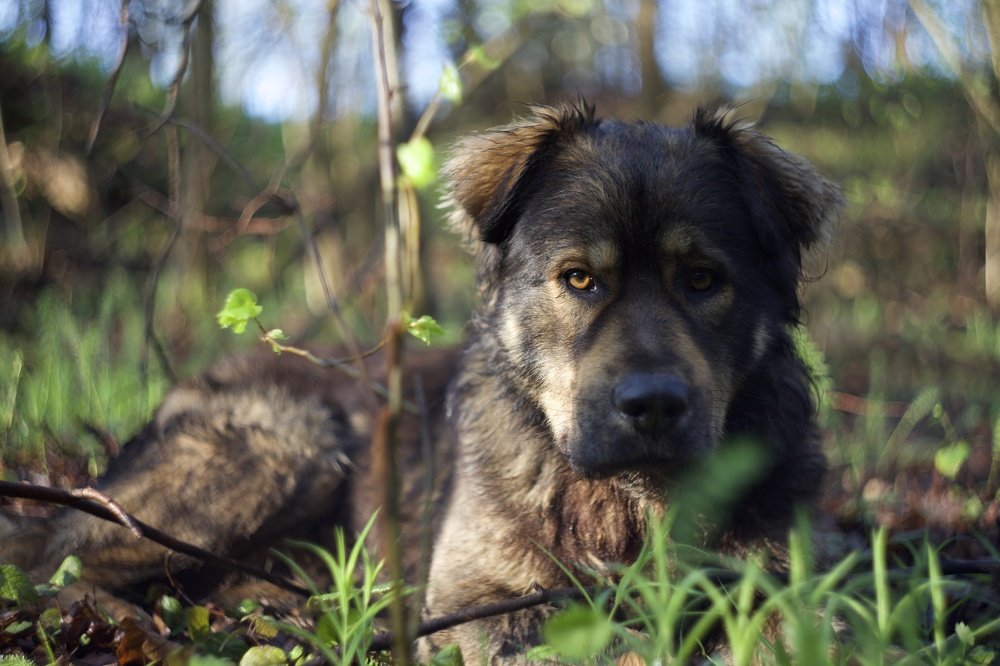 Фотография автора Алиса Чурчудесная