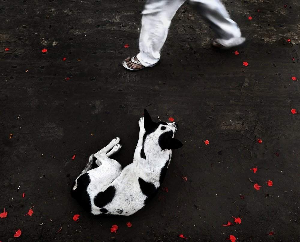 Photograph by Saha Jagannath