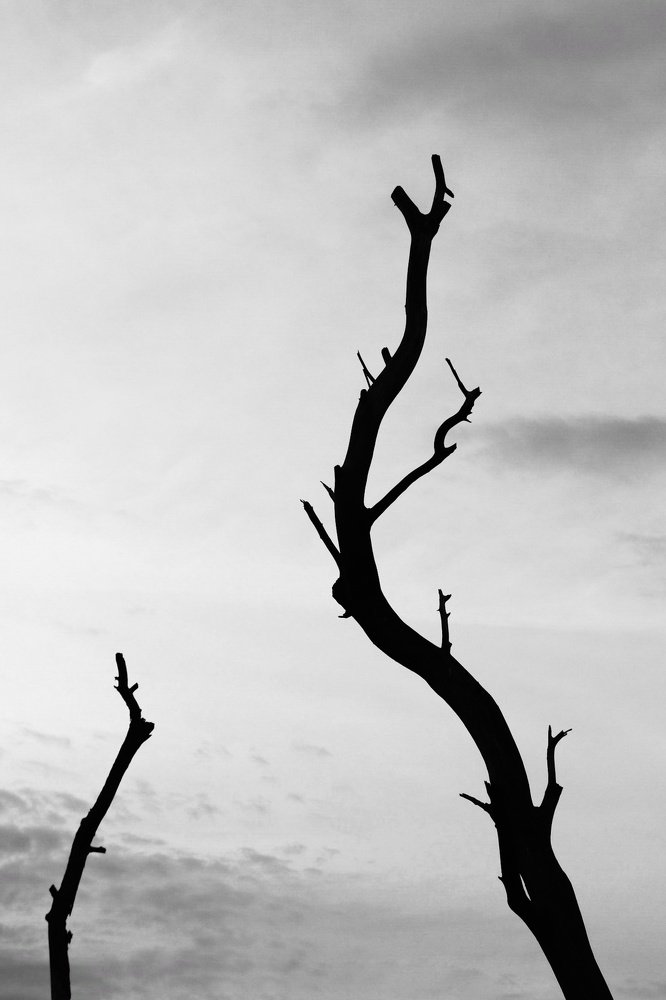 Photograph by Saqlain Rizve