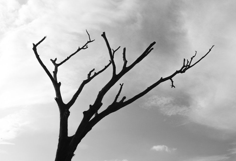 Photograph by Saqlain Rizve