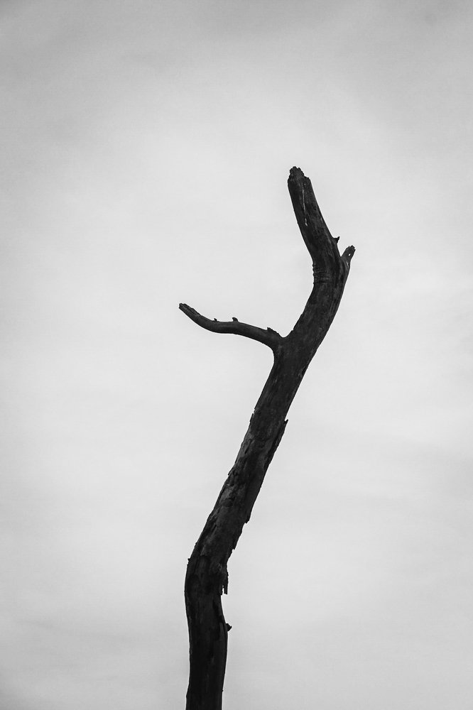 Photograph by Saqlain Rizve