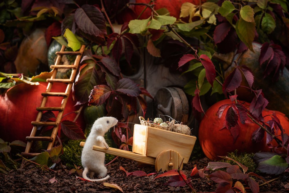 Photograph by Юлия Рыбченко
