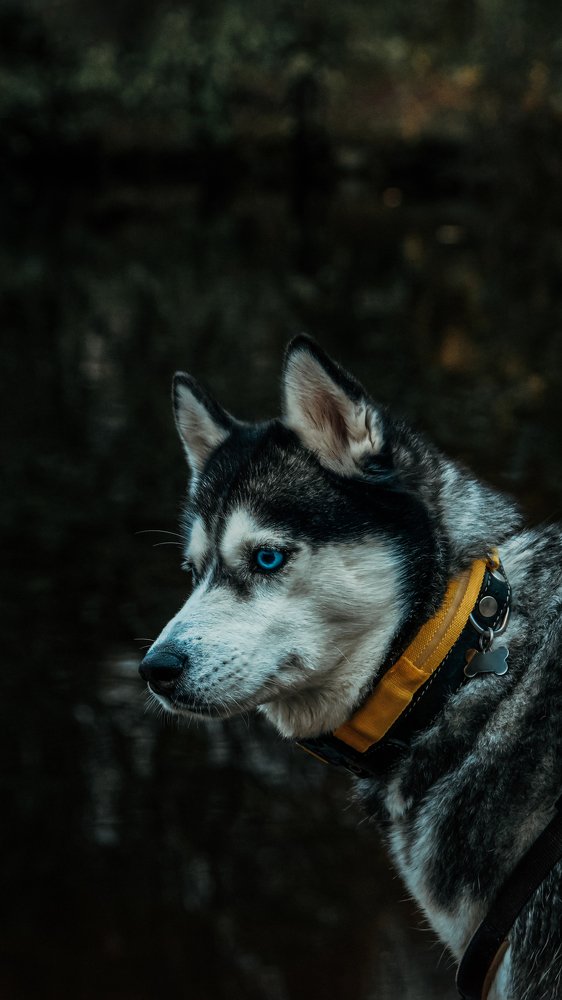 Photograph by Александр Гамалеев