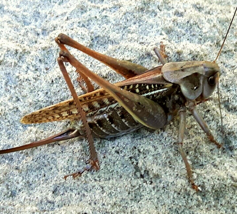 Photograph by Алексей Стрижаков