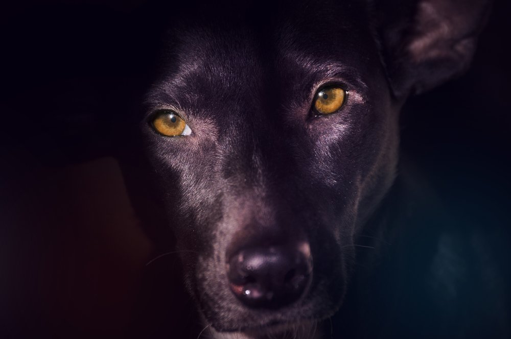 Photograph by João Marcos Silva do Nascimento