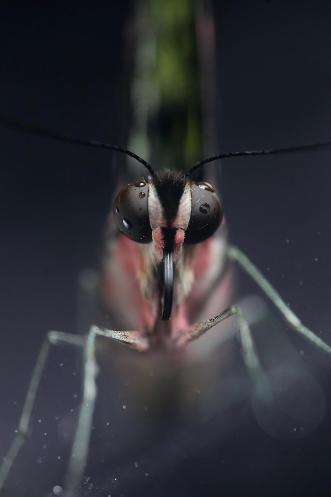 Photograph by Ксения Максименко