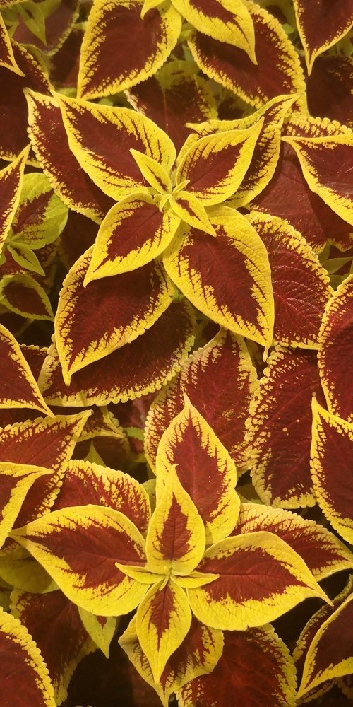 Photograph by Людмила Комарова