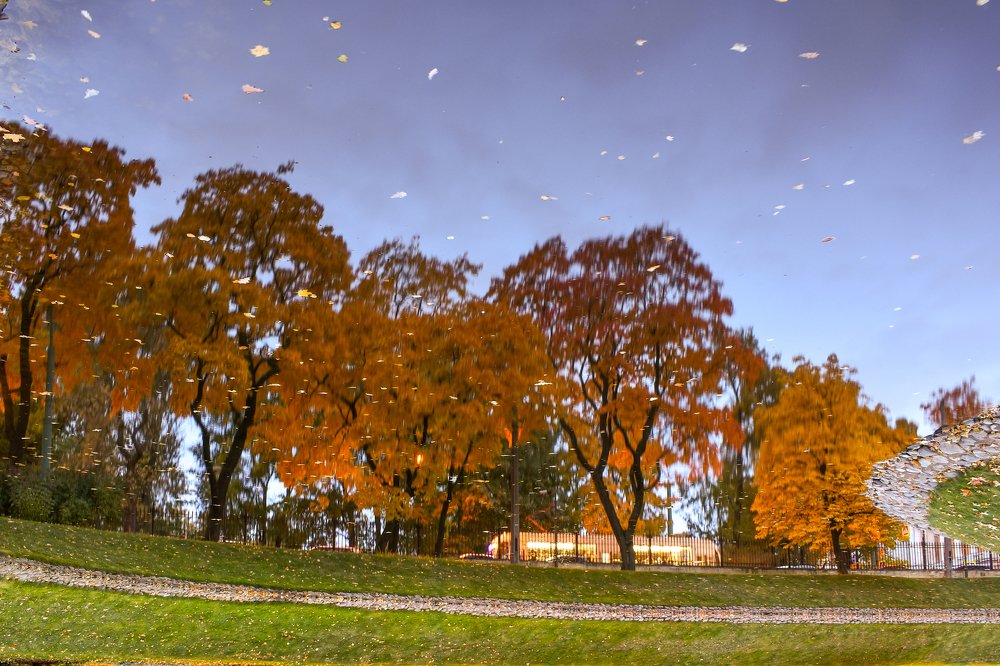 Photograph by Наталия Бочкова