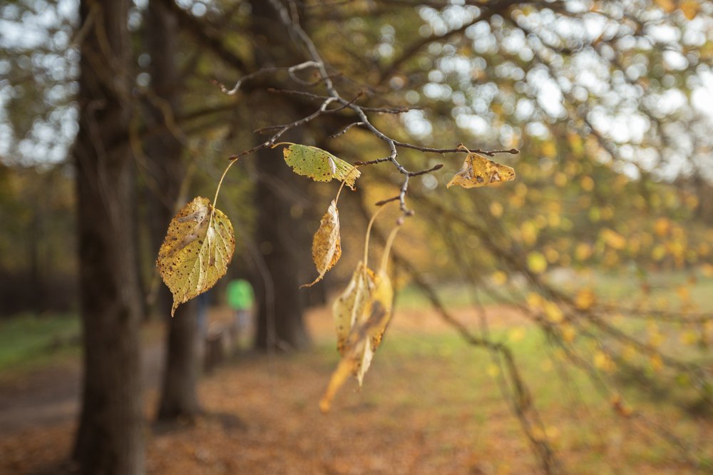 Photograph by Елена Станькова