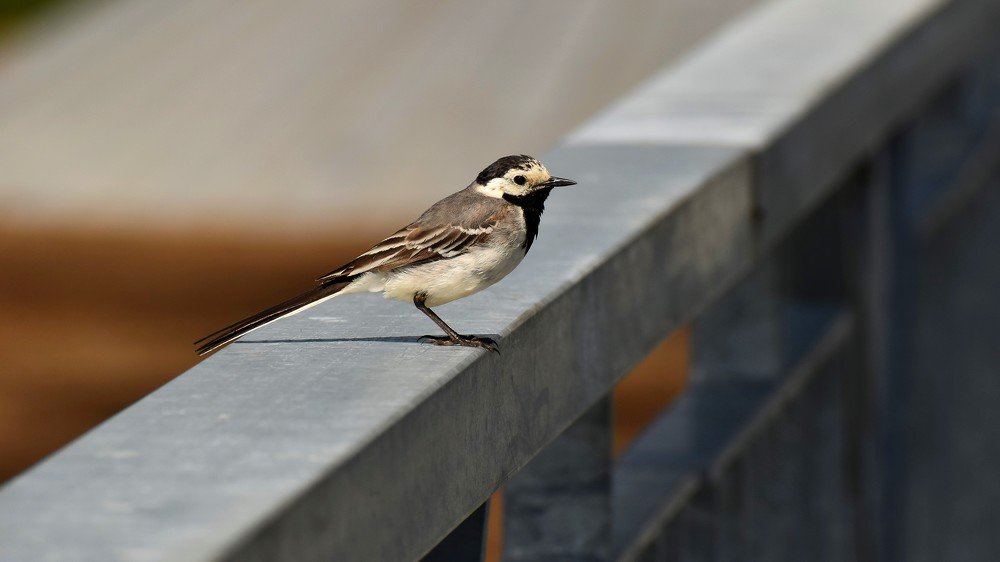 Photograph by Валерий Талейко