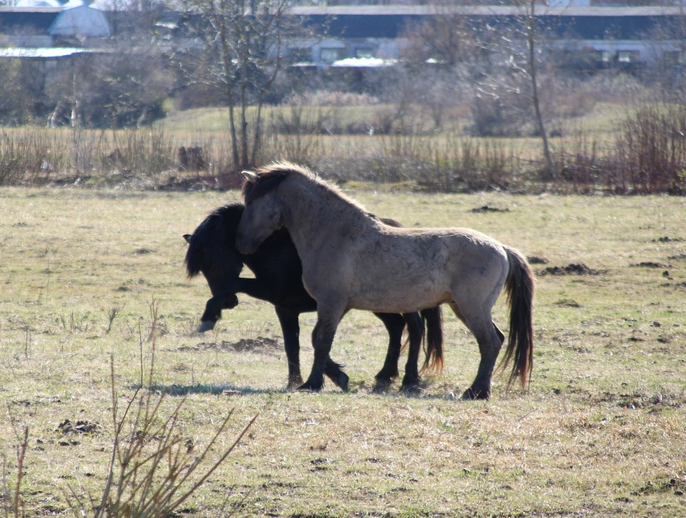 Photograph by Игорь Санюк