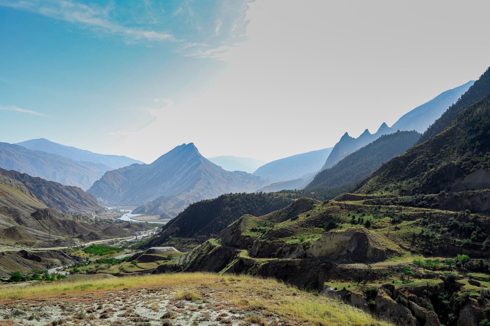 Голова дракона