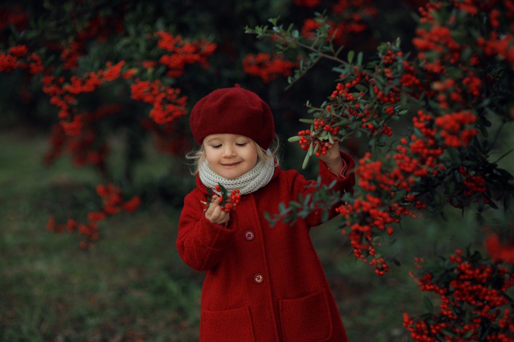 Photograph by Склярова Анастасия