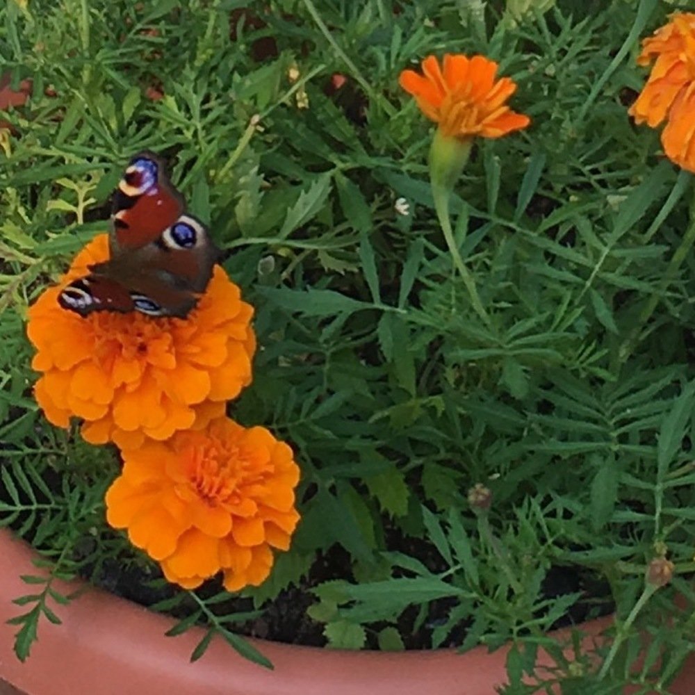 Photograph by Сергеева Татьяна