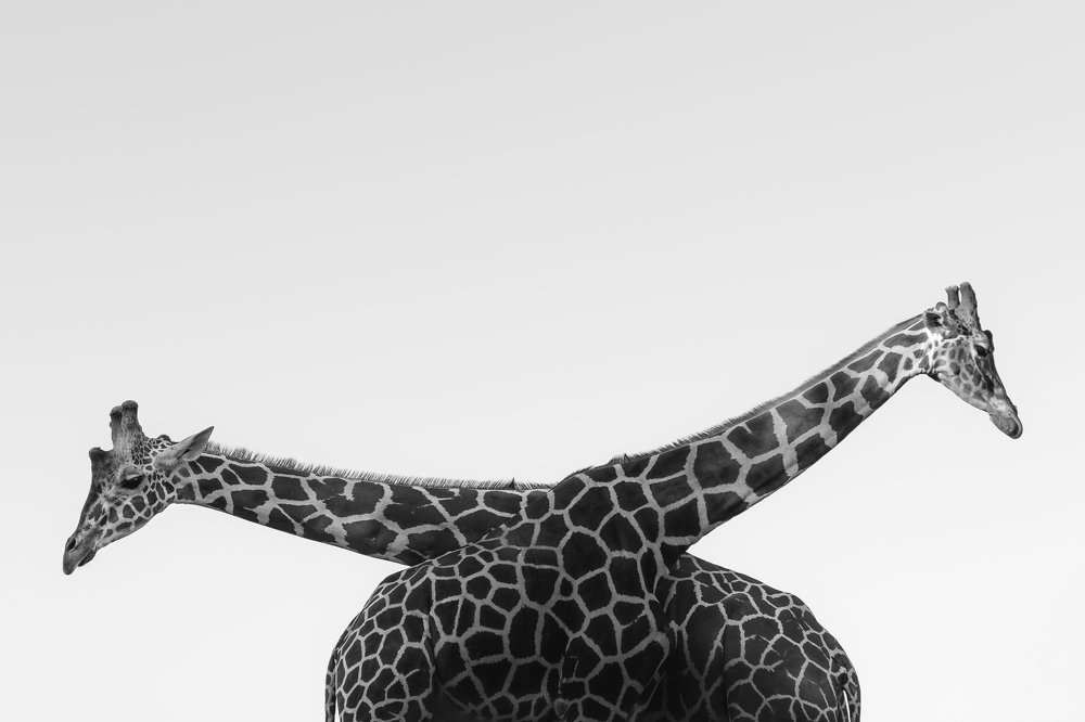 Photograph by Triadafyllos Xanthopoulos