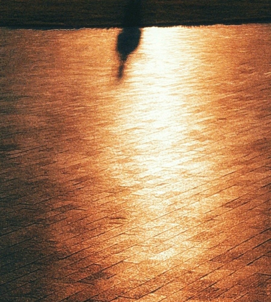 Photograph by Антон Е