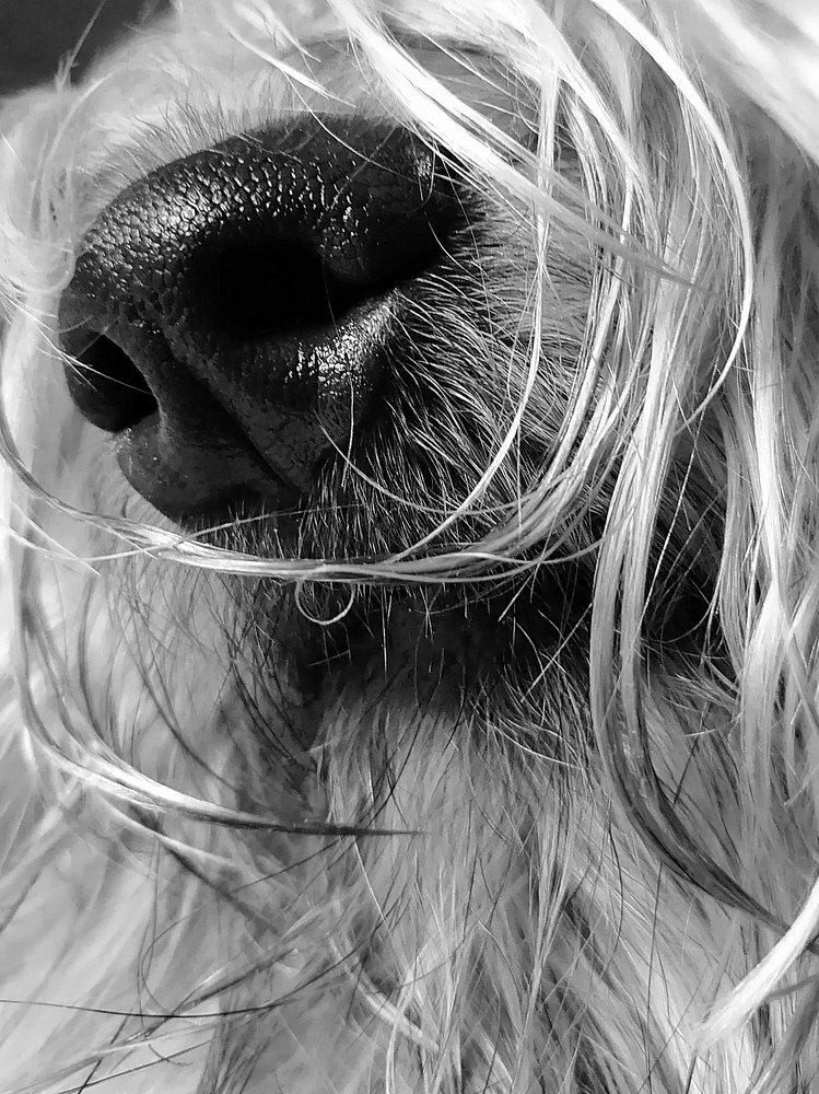 Photograph by Марина