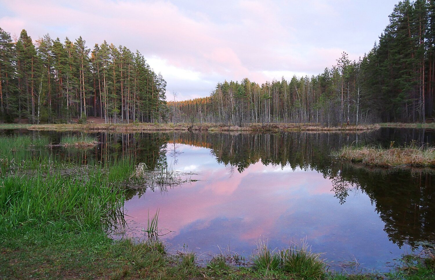 Розовый час
