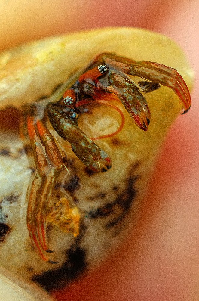 Photograph by Евгений Каримов