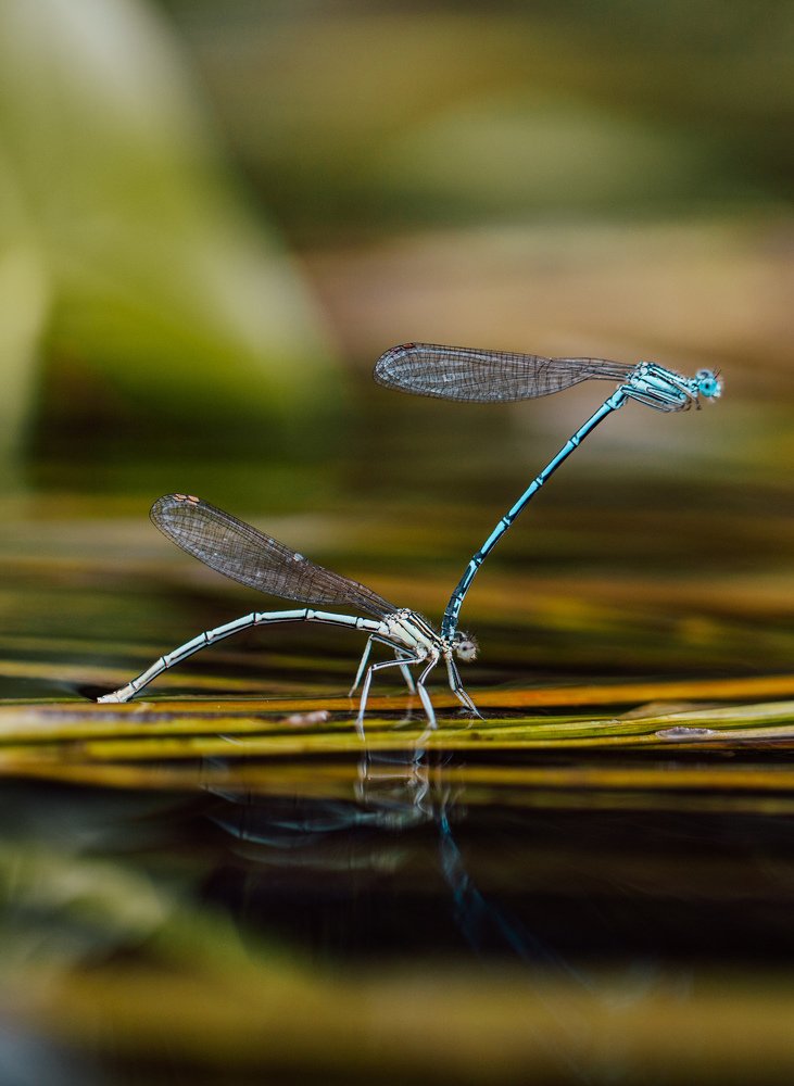 Photograph by Екатерина Аксёнова