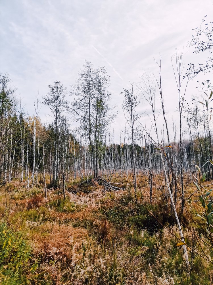 Photograph by Екатерина Аксёнова