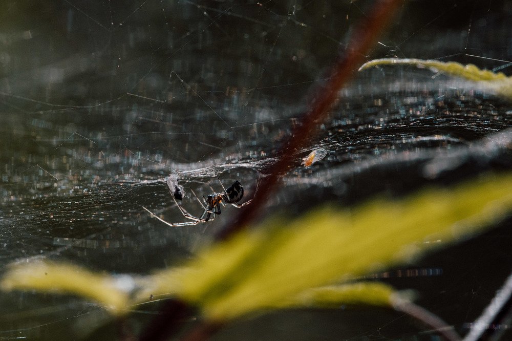 Photograph by Екатерина Аксёнова