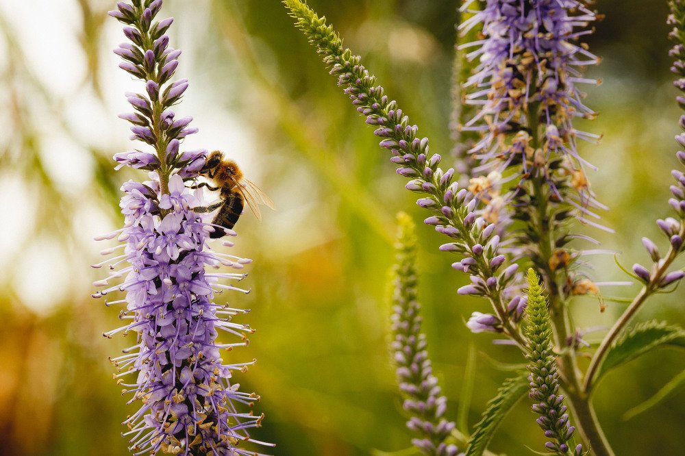 Photograph by Екатерина Аксёнова