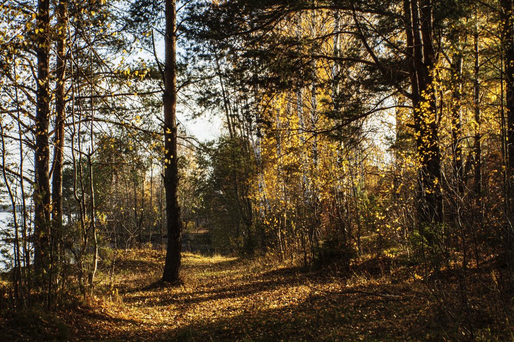 Photograph by миша