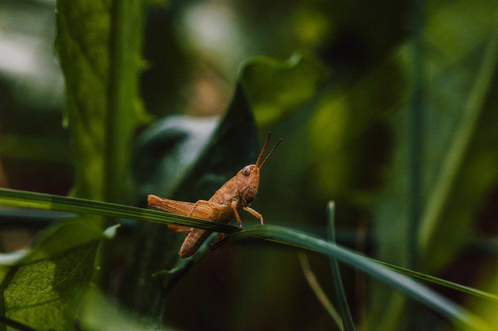 Photograph by Екатерина Аксёнова