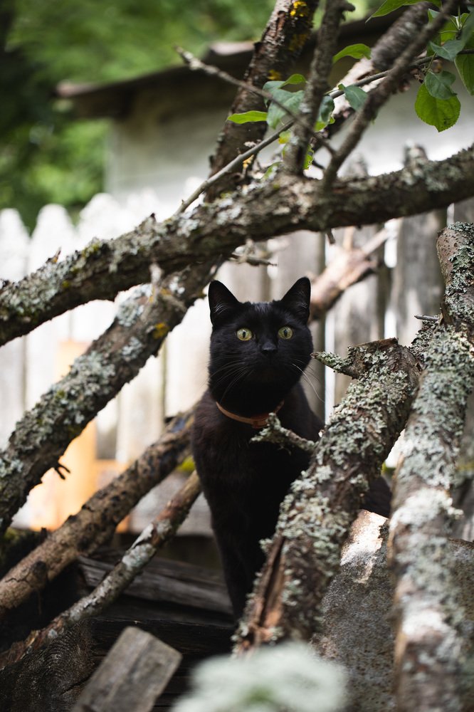 Photograph by Екатерина Аксёнова