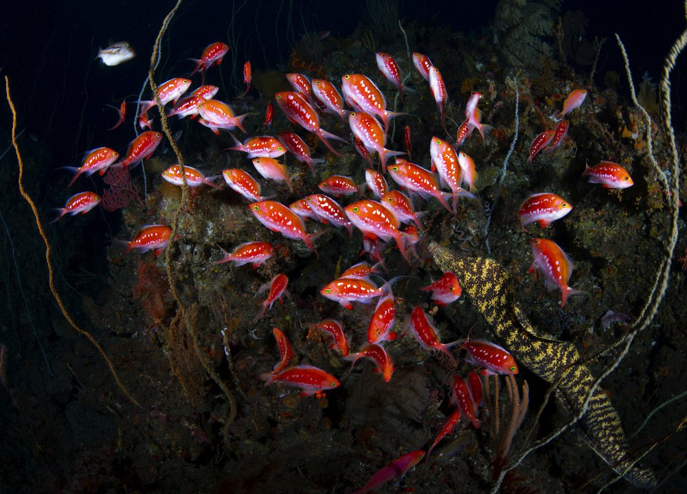 Photograph by takahashi reiko