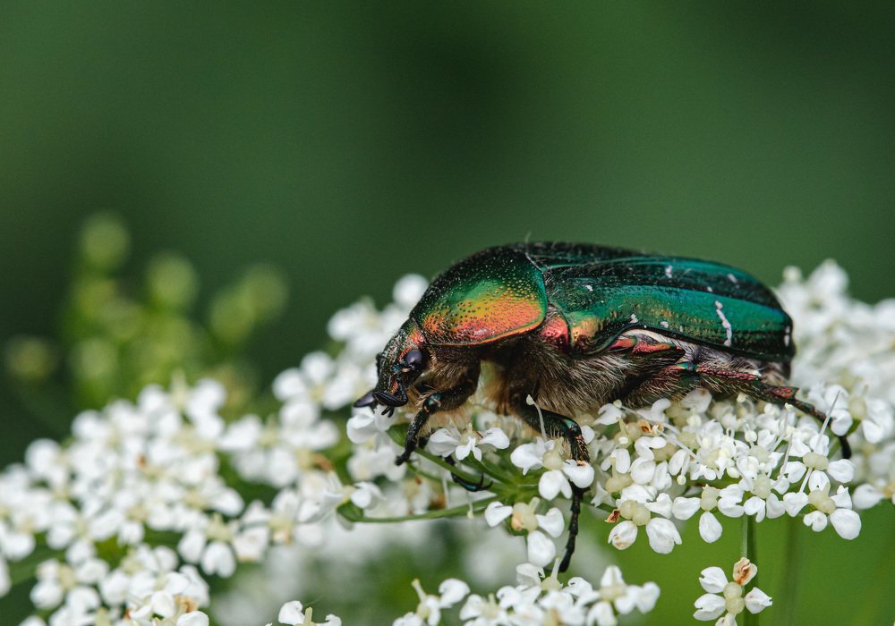 Photograph by Екатерина Аксёнова