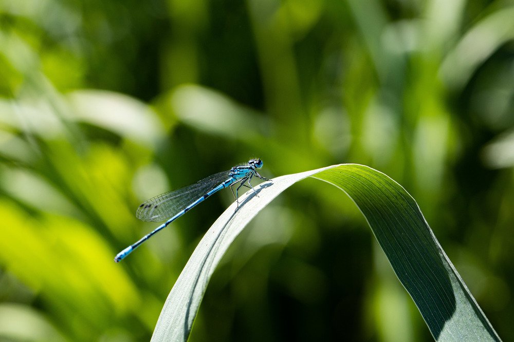 Photograph by Екатерина Аксёнова
