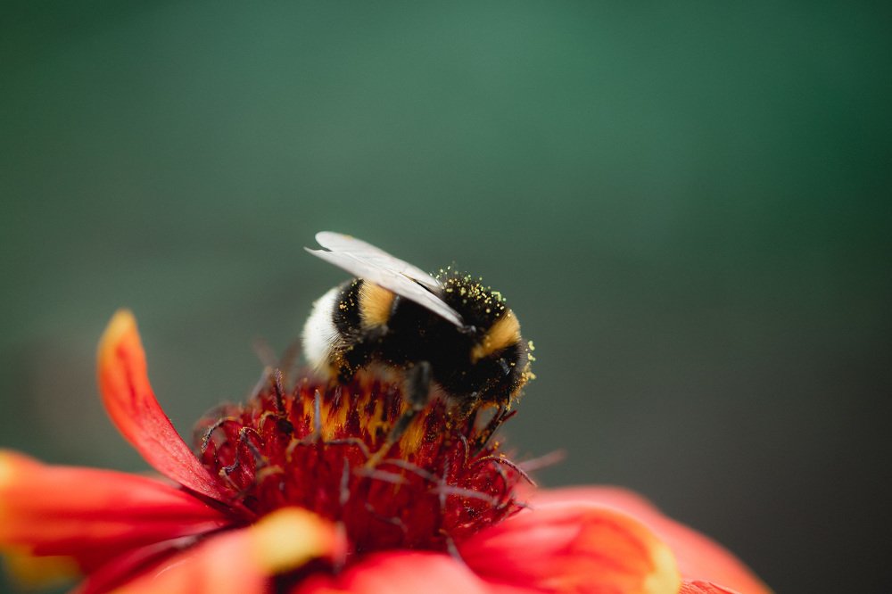 Photograph by Екатерина Аксёнова