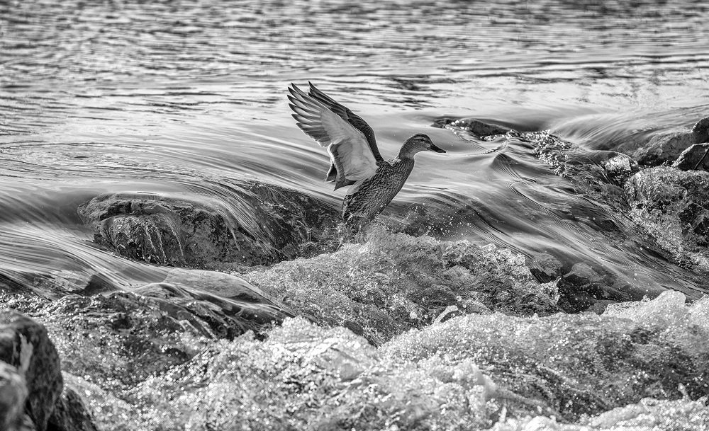 Photograph by Тамара Андреева