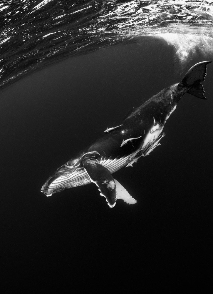 Photograph by takahashi reiko