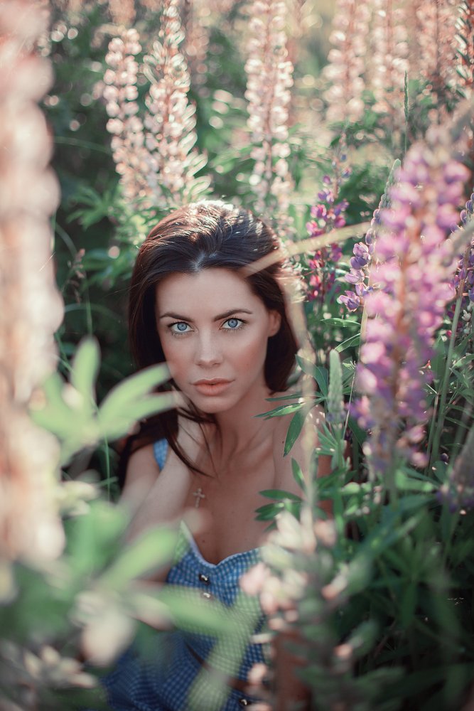 Lupins