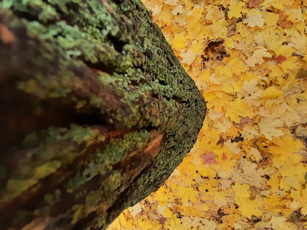 Photograph by Ирина Степанова