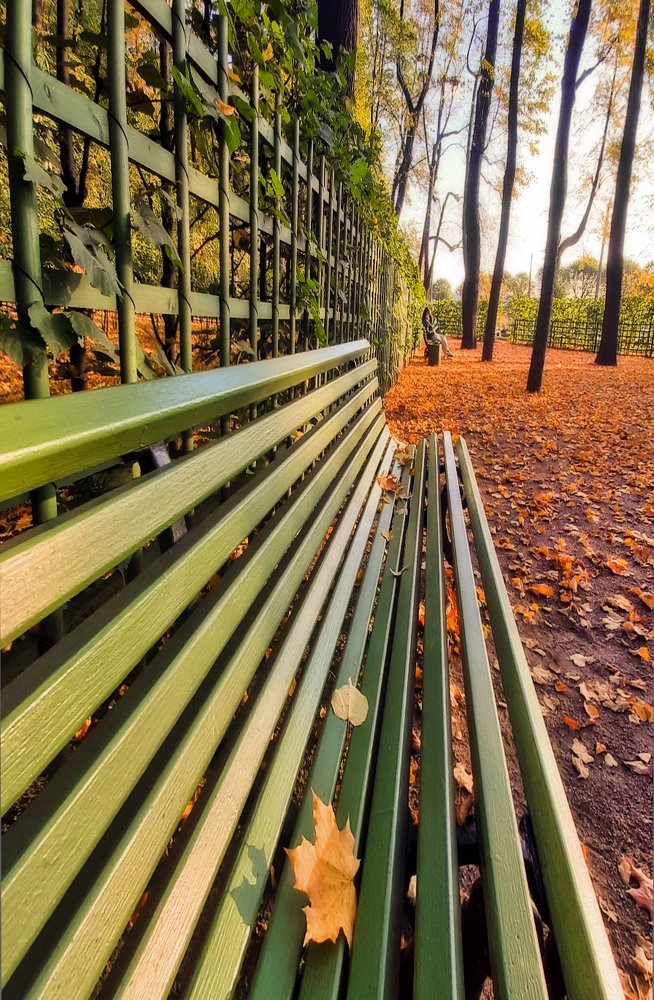 Photograph by Ольга Виноградова