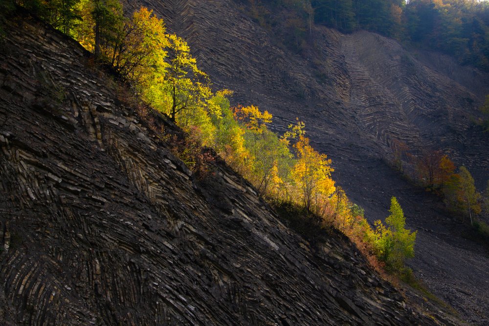 Photograph by Ирина Степанова