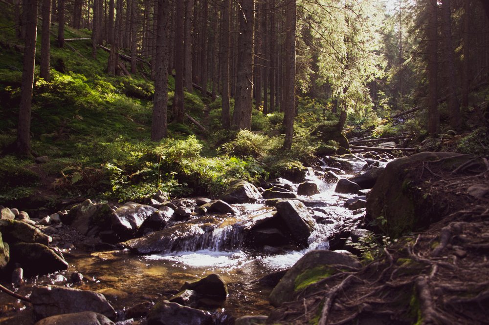 Photograph by Ирина Степанова