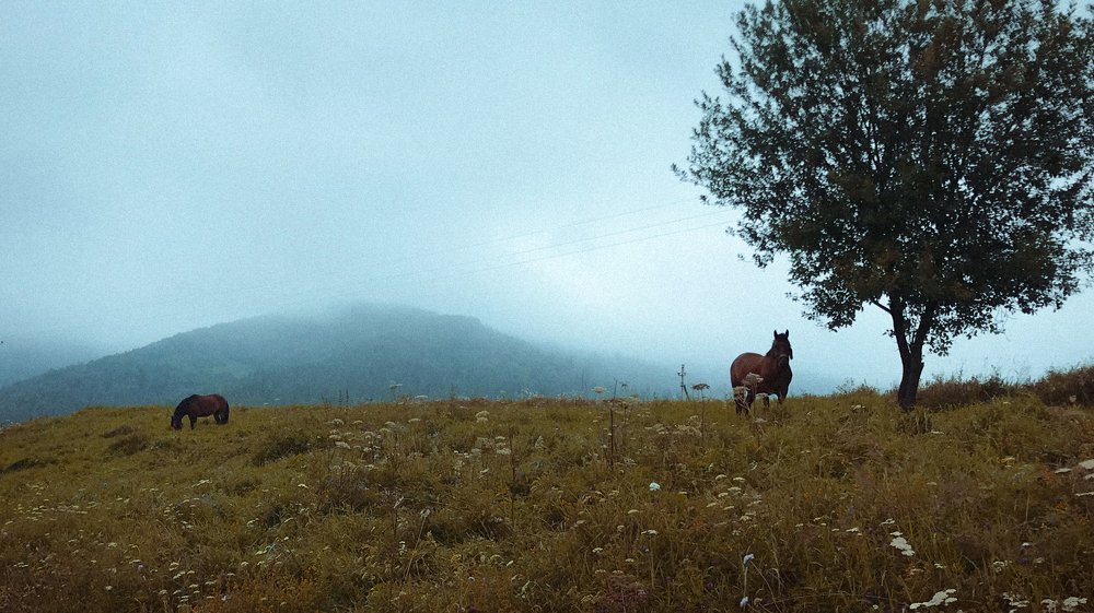 Photograph by Иштван Шандор