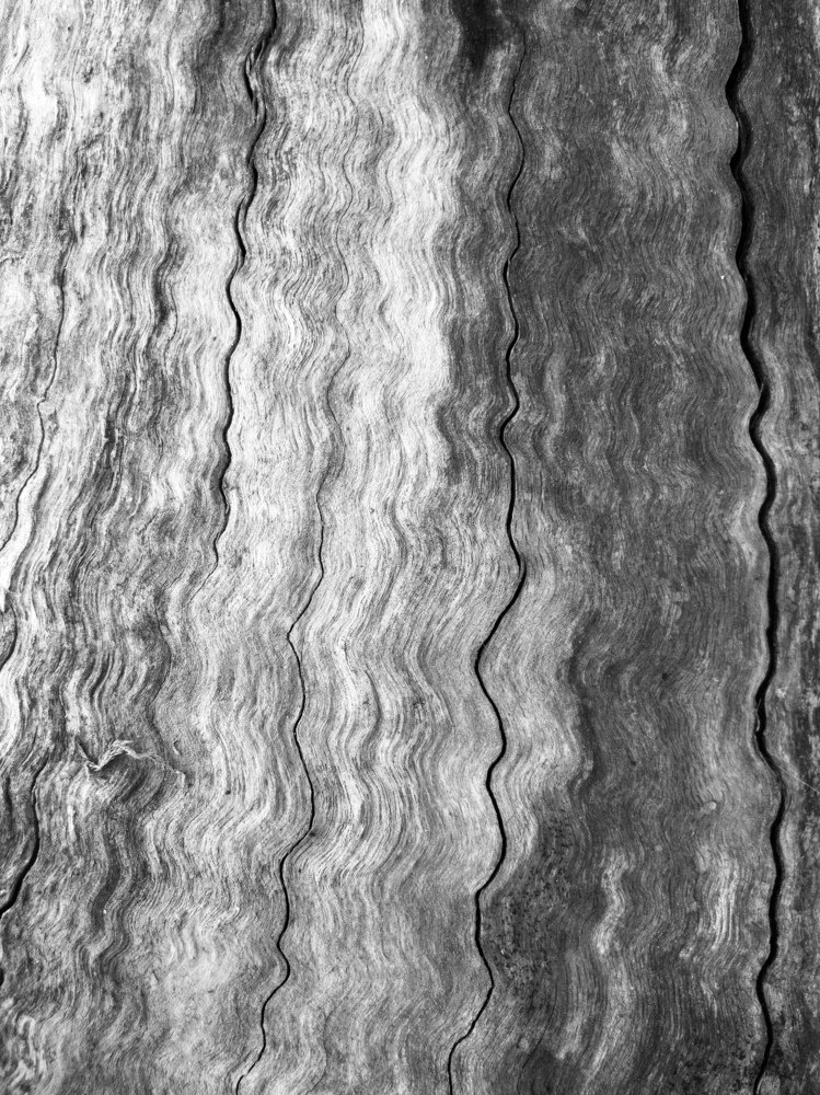 Photograph by Владислав Громов