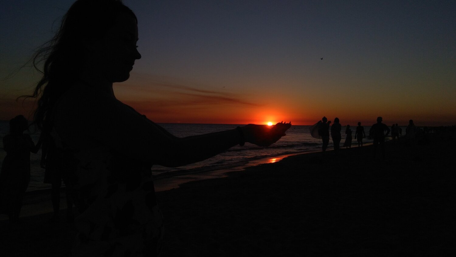 Photo #5191213