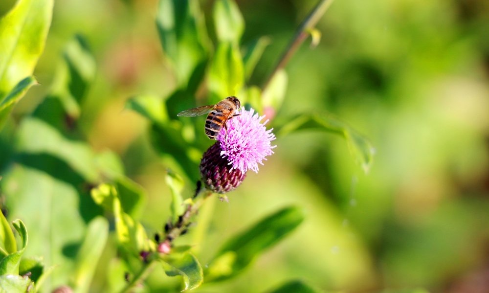Photograph by Svetlana Victorovna Kibyakova